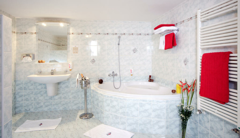 Hotel MALÝ PIVOVAR České Budějovice